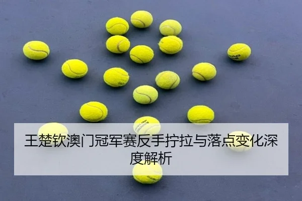 王楚钦澳门冠军赛反手拧拉与落点变化深度解析