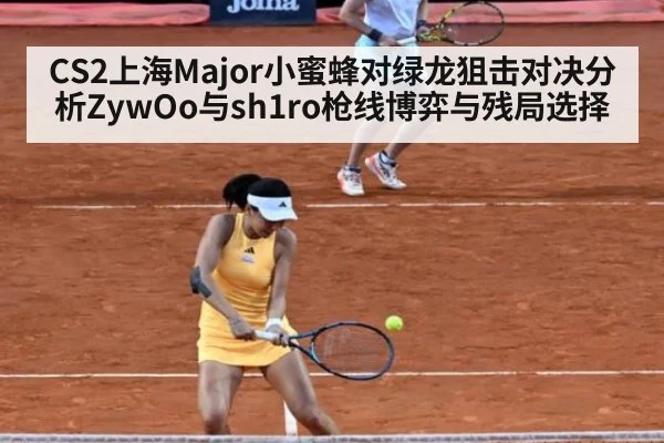CS2上海Major小蜜蜂对绿龙狙击对决分析ZywOo与sh1ro枪线博弈与残局选择